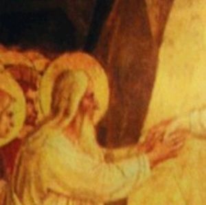 Meet your Posher, Anai